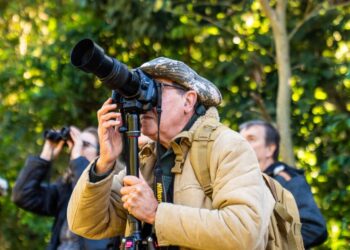 Jornada de avistaje de aves en el Parque Provincial Salto Encantado