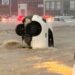 Seis las víctimas fatales por las inundaciones en Bahía Blanca