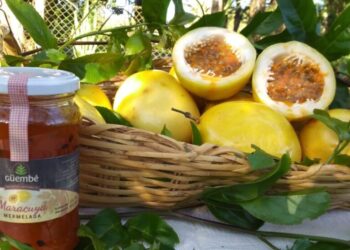 El 15 de marzo se realizará en Posadas la kermes «Turismo agroecológico cultural»