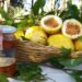 Invitan a la Kermés de Turismo Agroecológico Cultural de Posadas