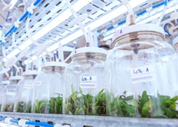 Posadas será sede del mayor encuentro de biotecnología del país