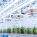 Posadas será sede del mayor encuentro de biotecnología del país
