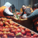 Nuevo Departamento de Acción Comunitaria en el Mercado Central