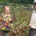 Impulsan visitas técnicas a productores de las ferias francas en Oberá