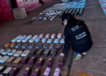 Incautaron millonario cargamento de mercadería de contrabando en Jardín América