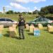 Gendarmes secuestraron cigarrillos y marihuana en Misiones