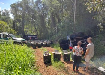 Fuerte golpe al contrabando y narcotráfico en Misiones