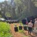 Fuerte golpe al contrabando y narcotráfico en Misiones