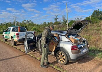 Secuestraron más de 42 mil paquetes de cigarrillos en Misiones