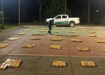 Secuestraron más de media tonelada de marihuana en Colonia Delicia