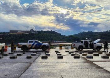 Incautaron marihuana valuada en más de cuatro millones de pesos en Misiones