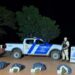 Secuestraron en Santa Ana millonario cargamento de marihuana