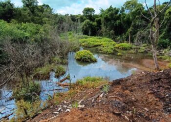 Investigan contaminación de arroyo por desechos de aserradero en Piñalito Sur