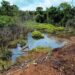 Investigan contaminación de arroyo por desechos de aserradero en Piñalito Sur
