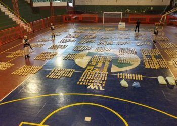 Secuestraron marihuana por más de 46 millones de pesos en Puerto Libertad