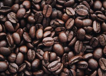 Diputado del Frente Renovador impulsa la reconversión productiva con plantaciones de café en Misiones