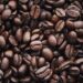 Diputado del Frente Renovador impulsa la reconversión productiva con plantaciones de café en Misiones