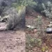 Hallaron sin sobrevivientes el avión accidentado en Chile