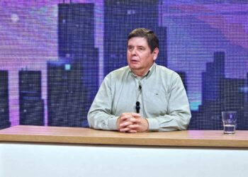 La primavera ficticia de Milei y el antigripal democrático