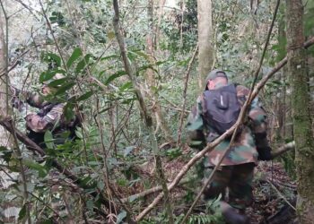 Destruyeron trampas de cazadores furtivos colocadas en el Parque Puerto Península