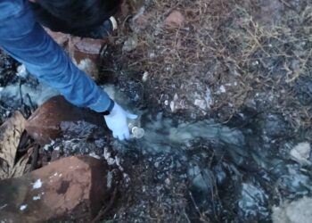 Investigan presunto caso de contaminación del arroyo León de Puerto Rico