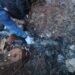 Investigan presunto caso de contaminación del arroyo León de Puerto Rico