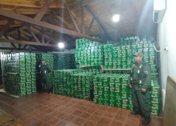 Incautan más de 65 mil latas de cerveza de contrabando en Villa Olivari