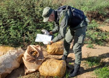 Decomisaron cargamentos de marihuana en Colonia Victoria y General Urquiza