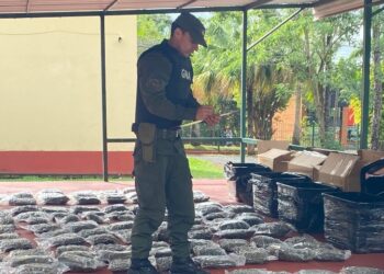 Gendarmería incautó casi 100 kilos de marihuana ocultos en encomiendas en Puerto Iguazú