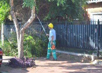 Comenzó en Posadas el Operativo Integral de Poda que se extenderá hasta agosto