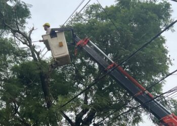 Comenzó el operativo de poda para despejar y proteger la infraestructura eléctrica en Posadas