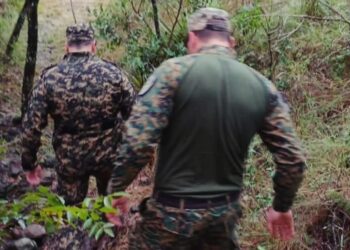 Refuerzan la seguridad rural y ambiental en el norte de Misiones con intensos operativos policiales