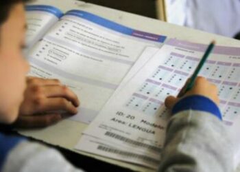 Aprender 2024: más de la mitad de los chicos de tercer grado no llegó al nivel de lectura esperable