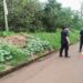 Investigan presunto millonario robo en Wanda
