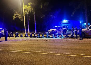 Secuestraron neumáticos de contrabando valuados en más de cinco millones de pesos en San Pedro