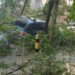 Árboles caídos y automóviles dañados, el saldo que dejó la tormenta en Posadas