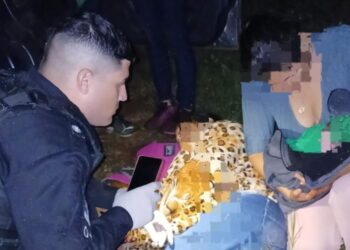 Una mujer dio a luz al costado de la ruta 14 en Misiones y fue asistida por la Policía