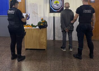 Detienen a un hombre por robar plantas ornamentales en pleno centro de Posadas