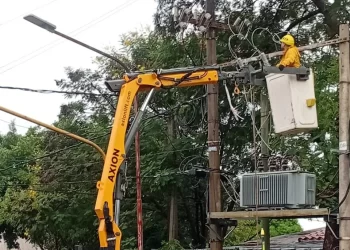 Energía de Misiones restauró el servicio en diez líneas de media tensión afectadas por las tormentas