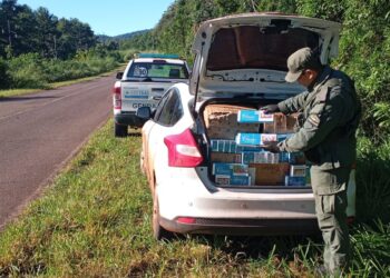 Gendarmería incautó más de 43 mil paquetes de cigarrillos de contrabando