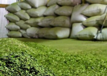 Tras gestiones de Passlacqua, productores y secaderos podrán cobrar cheques diferidos con tasa bonificada