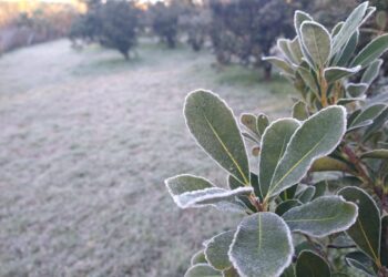Alertan por la llegada de una masa de aire polar con fuertes tormentas a Misiones