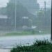 Martes con probables tormentas fuertes en Misiones: alerta por vientos y posible granizo