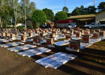 Gendarmes secuestraron más de 95 mil paquetes de cigarrillos y detuvieron a un hombre en Misiones