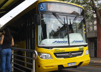 El transporte público será gratuito el domingo de elecciones en Misiones