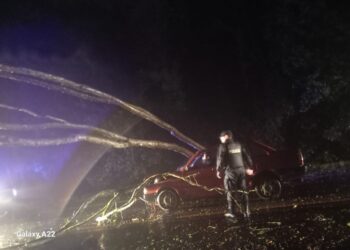 Reportaron caída de árboles, daños en viviendas y accidentes viales por temporal en Misiones
