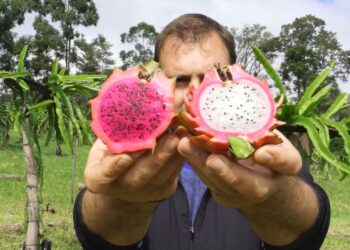 Proponen un régimen para diversificar la producción y fortalecer el arraigo rural