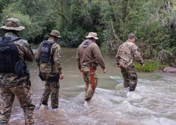 Parque Provincial de la Sierra: patrullaje y tareas de prevención de delitos ambientales