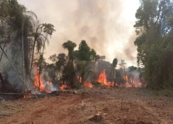 Misiones refuerza su sistema contra incendios pese al ajuste nacional