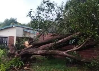 Llegó la tormenta de Santa Rosa: operativos de asistencia en barrios de Posadas
